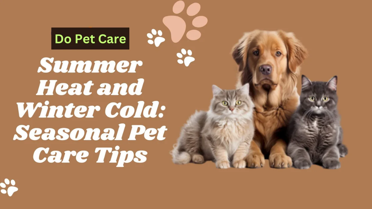 How to Keep Your Pet Safe During Hot & Cold Weather