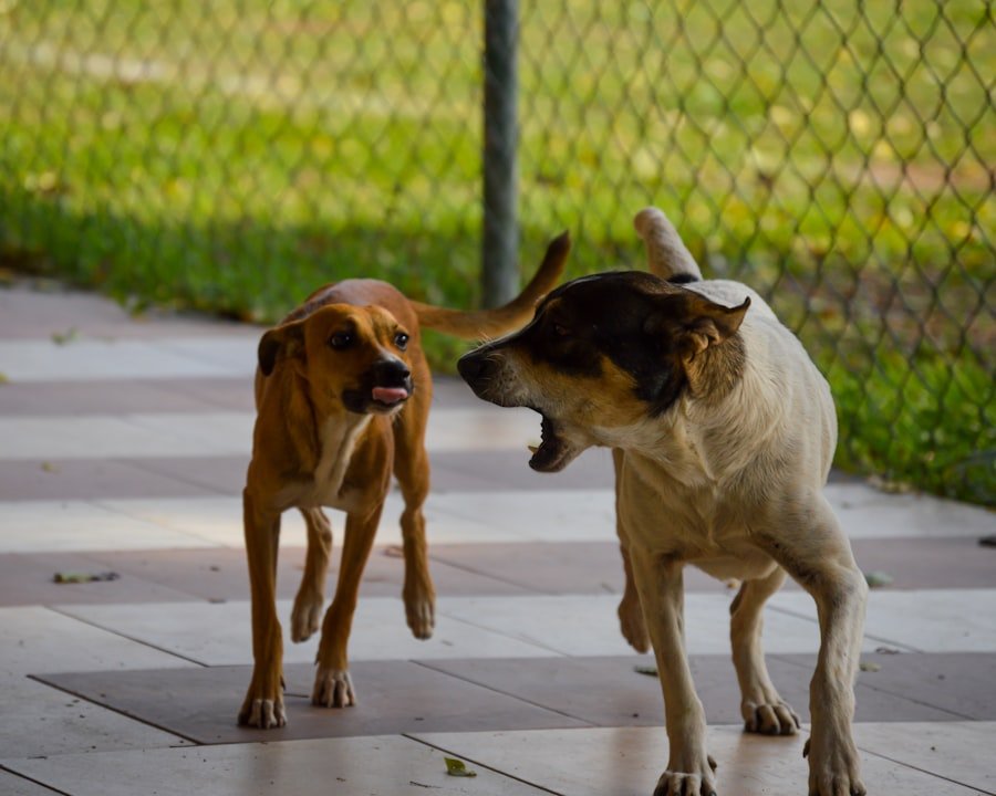 Stop Dog Barking