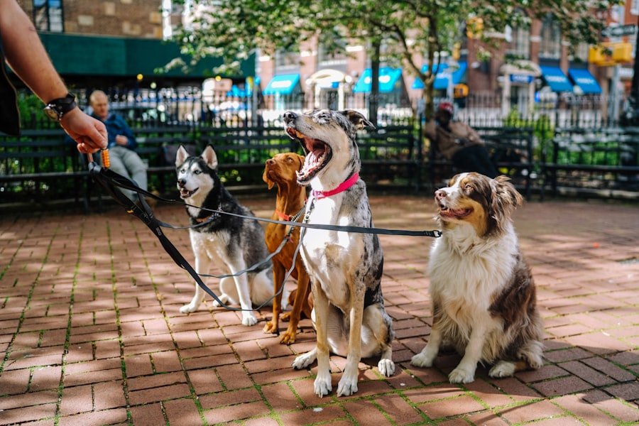 Socialize Dog With Other Pets
